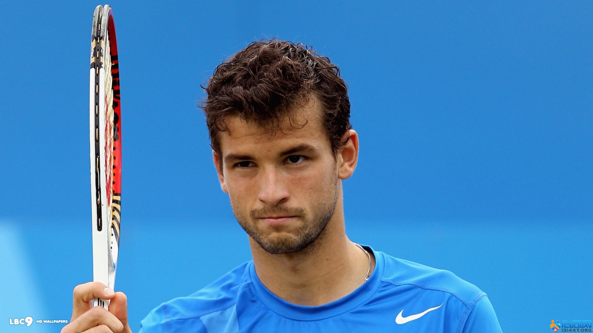 确的买断条 确的买断条